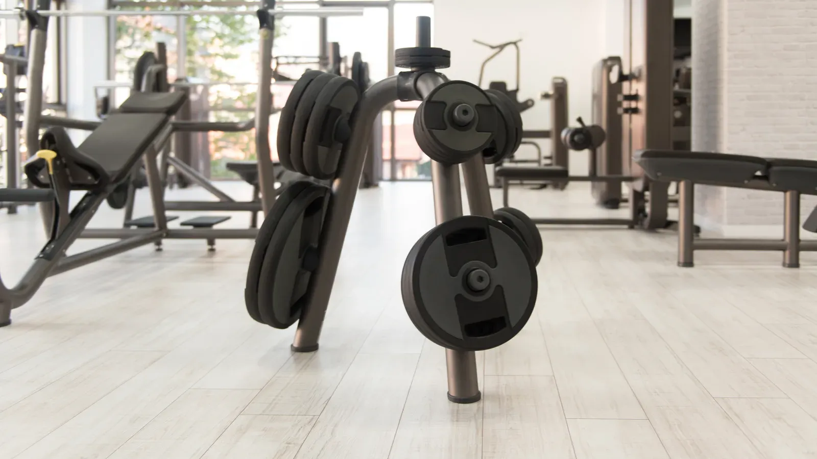 Viktställ och träningsbänkar i en ljus gymlokal